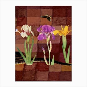 Luxurious Iris Flowers Canvas Print