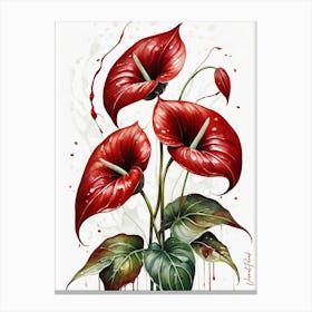 Red Anthuriums Flowers 2 Canvas Print