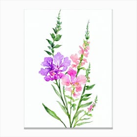 Snapdragons 2 Watercolour Flower Canvas Print