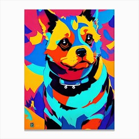 Chihuahua Canvas Print