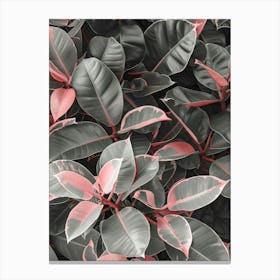 Pink And Grey Leaves Canvas Print