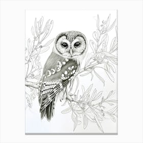 Northern Saw Whet Owl Marker Drawing 1 Canvas Print