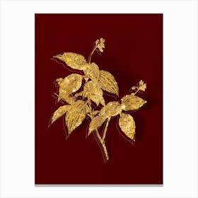 Vintage Tradescantia Erecta Botanical in Gold on Red n.0230 Canvas Print
