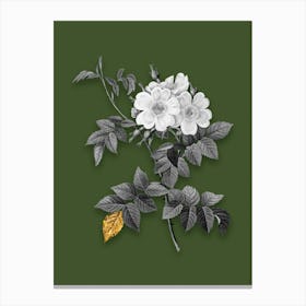 Vintage White Rosebush Black and White Gold Leaf Floral Art on Olive Green n.1011 Canvas Print