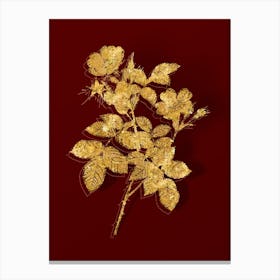 Vintage Short Styled Field Rose Botanical in Gold on Red n.0403 Canvas Print