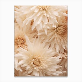 Boho Dried Flowers Chrysanthemum 4 Canvas Print