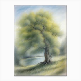 Willow Tree Swaying In The Wind Canvas Print