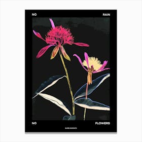 No Rain No Flowers Poster Globe Amaranth 1 Canvas Print