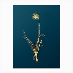 Vintage Nodding Onion Botanical in Gold on Teal Blue Canvas Print