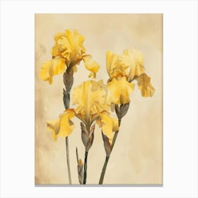 Yellow Iris 3 Canvas Print