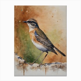 Stresemann Rare Bird Canvas Print