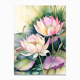Lotus Flowers In Park Watercolour Ink Pencil 3 Canvas Print