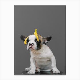 Funny Dog Wearing Banana Hat Canvas Print