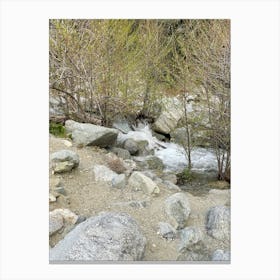 Stream In The Woods 4 Canvas Print