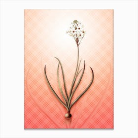 Arabian Starflower Vintage Botanical in Peach Fuzz Tartan Plaid Pattern n.0229 Canvas Print