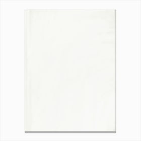 White Wall 1 Canvas Print