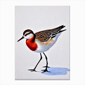 Dunlin Watercolour Bird Canvas Print