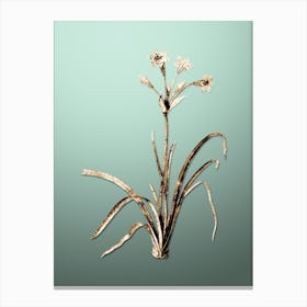 Gold Botanical Crytanthus Vittatus on Mint Green n.1537 Canvas Print