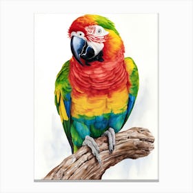 Colorful Parrot 13 Canvas Print