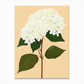 White Hydrangea Canvas Print