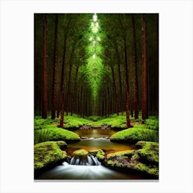 Forest Stream 1 Canvas Print