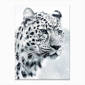 White Snow Leopard Canvas Print