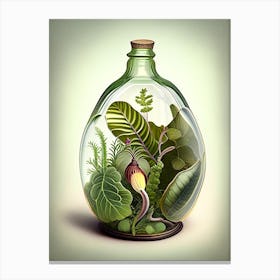 Glass Snail 1 Botanical Canvas Print