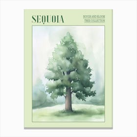Sequoia Tree Atmospheric Watercolour Painting 1 Poster Canvas Print