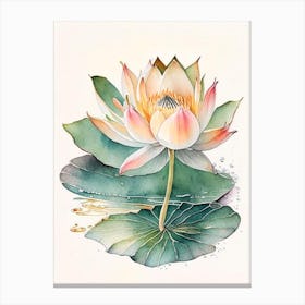 Blooming Lotus Flower In Lake Watercolour Ink Pencil 2 Canvas Print