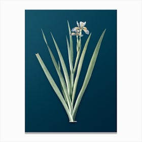 Vintage Stinking Iris Botanical Art on Teal Blue n.0547 Canvas Print