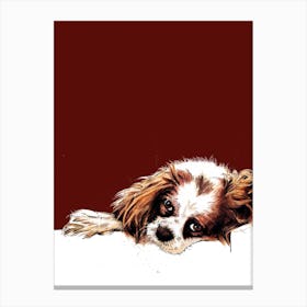Meg The Cavalier Spaniel On Red Oxide Canvas Print