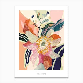 Colourful Flower Illustration Poster Hellebore 1 Canvas Print