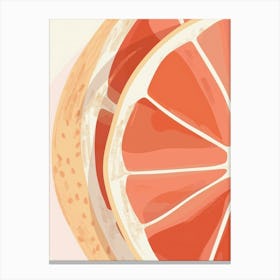 Grapefruits Close Up Illustration 6 Canvas Print