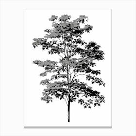 Maple Tree Simple Geometric Nature Stencil 1 1 Canvas Print