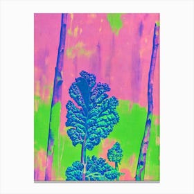 Kale 3 Risograph Retro Poster vegetable Canvas Print