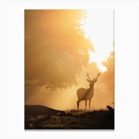 Deer Silhouette In The Sunrise Canvas Print