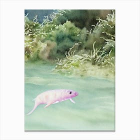 Sea Pig II Storybook Watercolour Canvas Print
