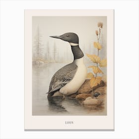 Vintage Bird Drawing Loon 3 Poster Canvas Print