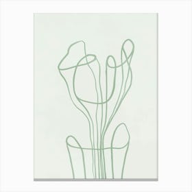 Tulip Canvas Print