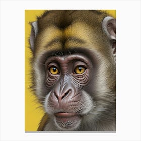 Monkey On Yellow 4 1 Canvas Print