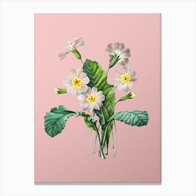 Vintage Grandiflora Botanical on Soft Pink n.0736 Canvas Print