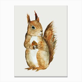 Squirrel Watercolor Painting Canvas Print