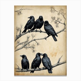 Crows On A Branch Canvas Print