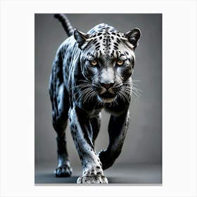 Jaguar Canvas Print