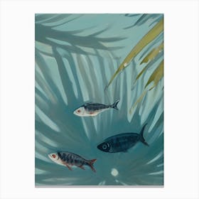 Carribean Fish In The Water Canvas Print