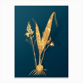 Vintage Pine Pink Botanical in Gold on Teal Blue Canvas Print
