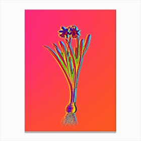 Neon Lesser Wild Daffodil Botanical in Hot Pink and Electric Blue n.0031 Canvas Print