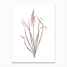Stained Glass Wild Asparagus Mosaic Botanical Illustration on White n.0226 Canvas Print