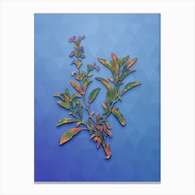 Vintage Garden Sage Botanical Art on Blue Perennial n.0610 Canvas Print