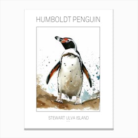 Humboldt Penguin Stewart Island Ulva Island Watercolour Painting 4 Poster Canvas Print